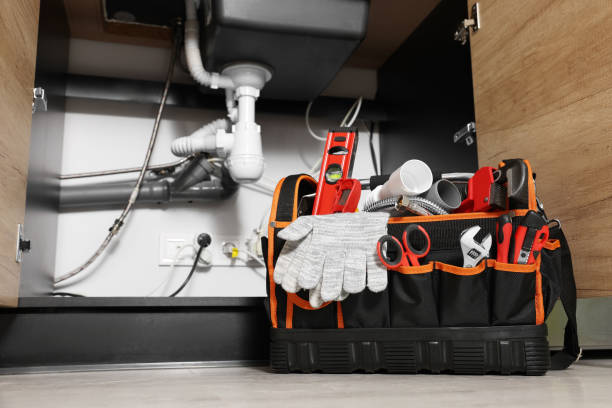 Best Local Plumber Services  in Travis Ranch, TX