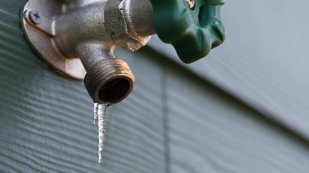 Best Gas Line Repair  in Travis Ranch, TX