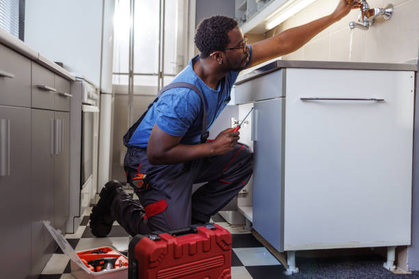 Best Toilet Repair Services  in Travis Ranch, TX